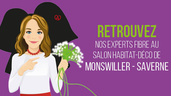Retrouver Vialis au salon déco Saverne Monswiller